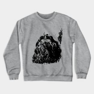 Garibaldi Beard Crewneck Sweatshirt